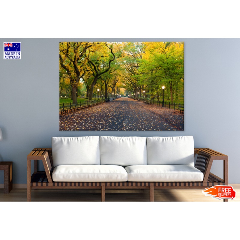 Yellow Flower Trees & Walking Road View Print 100% Australian Made