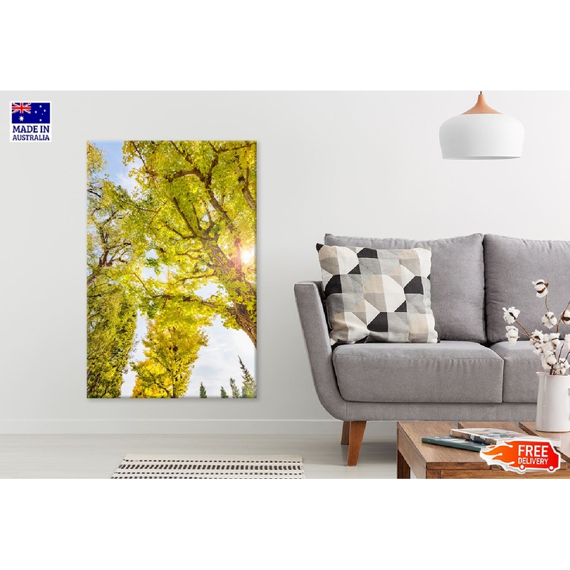 Yellow Leaves Tree & Bark View Photograph Print 100% Australian Made