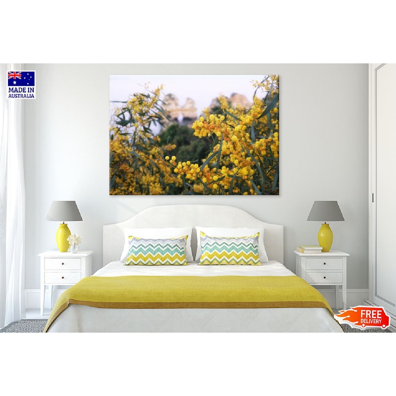 Yellow Mimosa Tree View Photograph Print 100% Australian Made