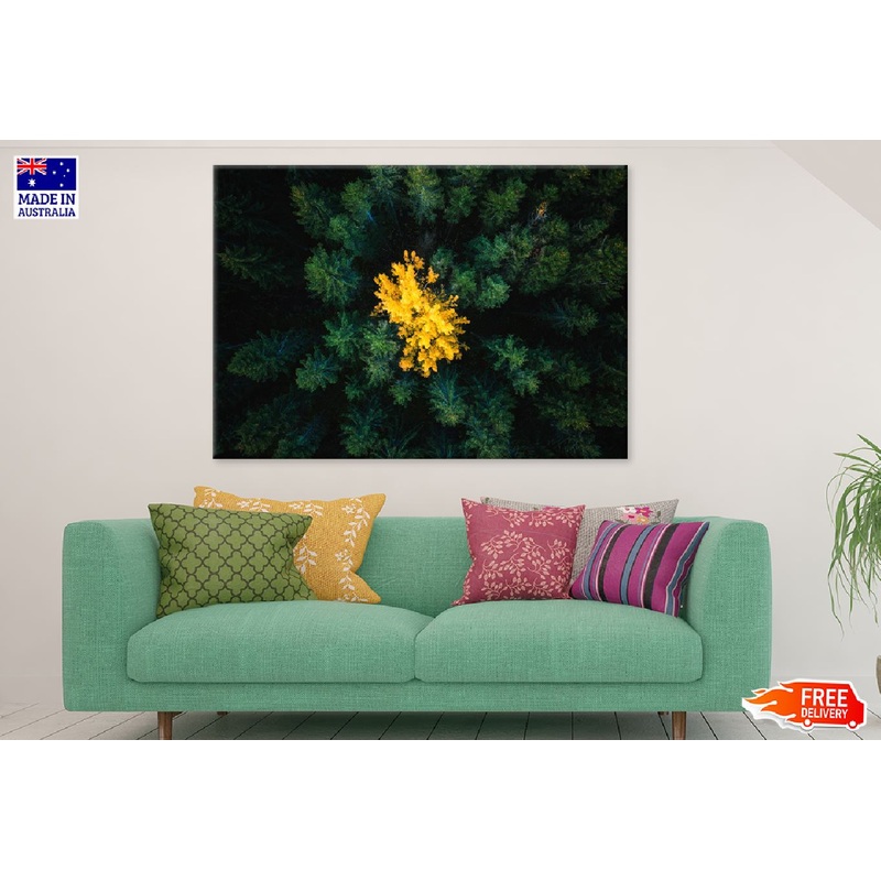 Yellow Tree in Green Forest View Print 100% Australian Made