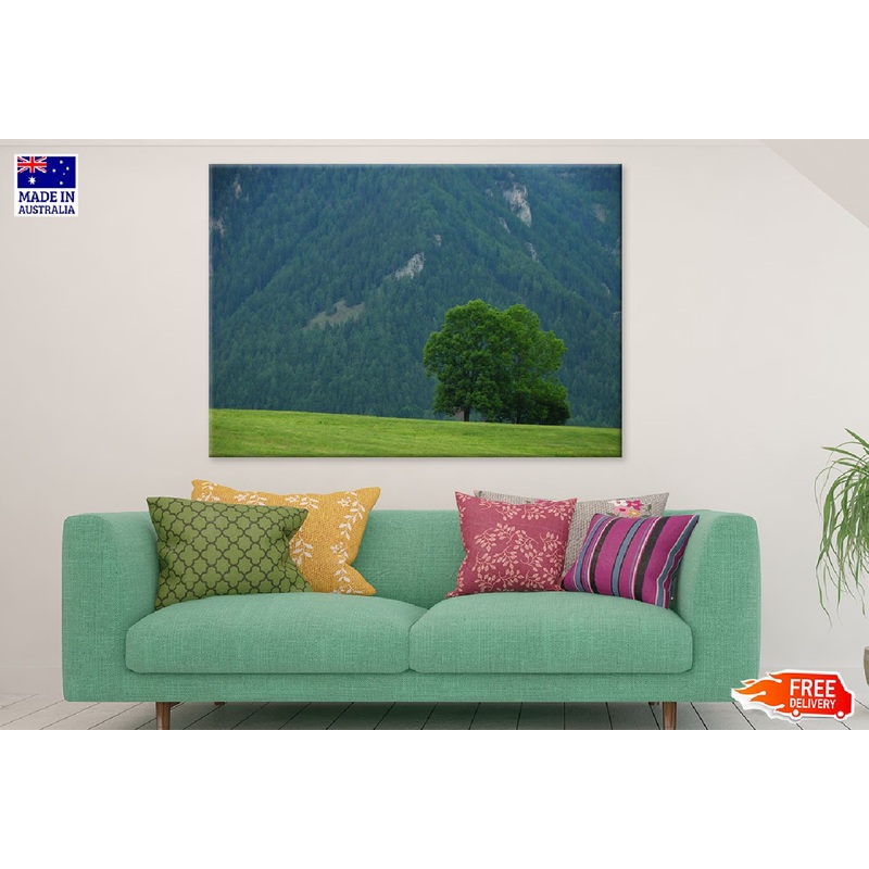 Alone Green Tree on High Mountain Photograph Print 100% Australian Made