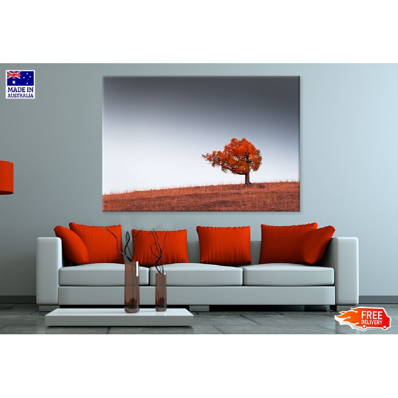 Alone Red Autumn Tree on Hill Photograph Print 100% Australian Made