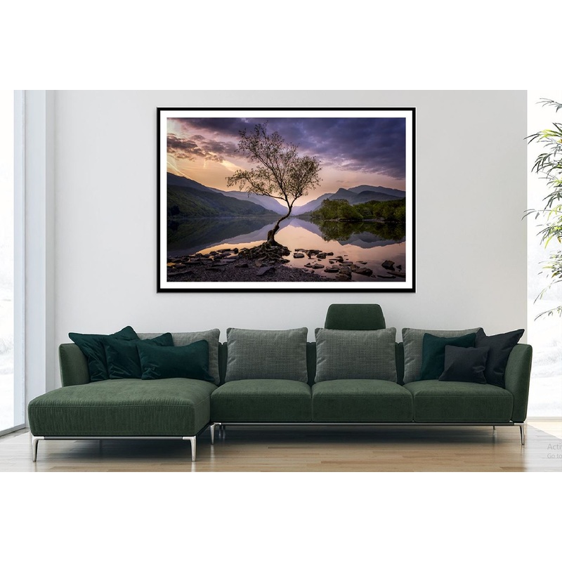 Alone Tree on Lake Sunset Scenery Photograph Home Decor Premium Quality Poster Print Choose Your Sizes