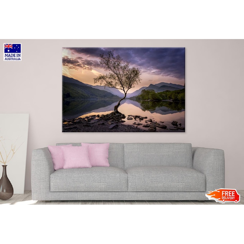 Alone Tree on Lake Sunset Scenery Photograph Print 100% Australian Made