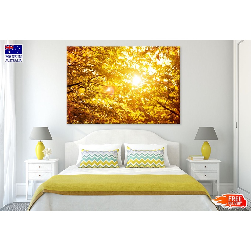 Autumn Leaves Branch & Sunshine View Photograph Print 100% Australian Made