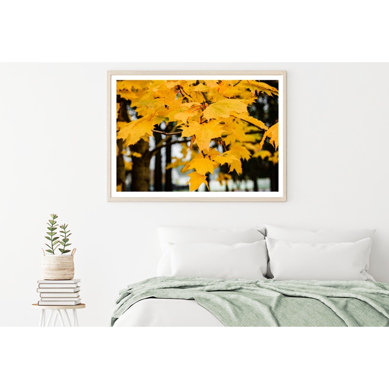 Autumn Leaves Close Up Photograph Home Decor Premium Quality Poster Print Choose Your Sizes