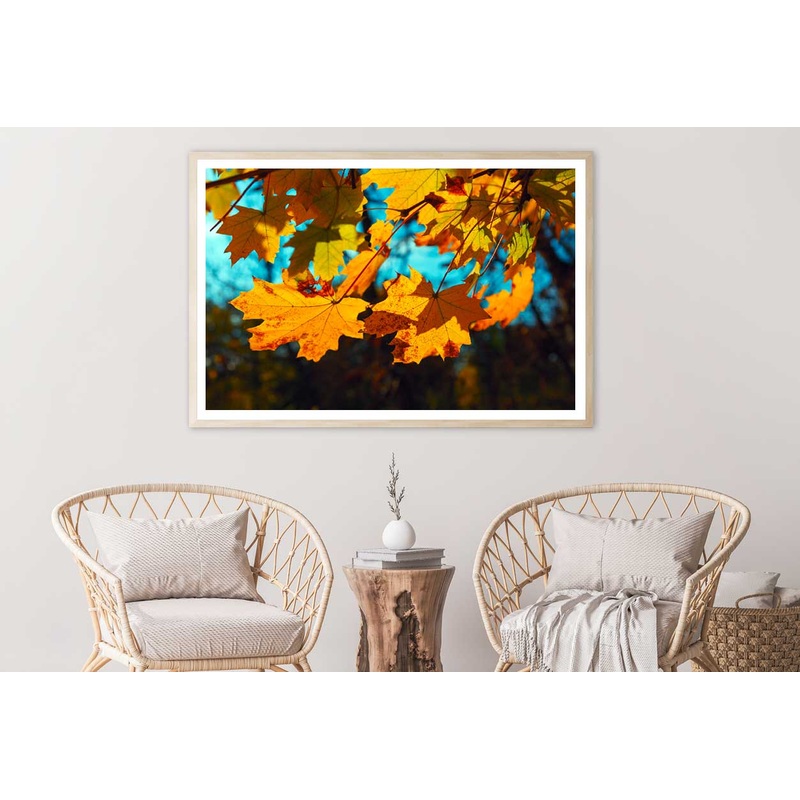 Autumn Maple Leaves Closeup View Photograph Home Decor Premium Quality Poster Print Choose Your Sizes