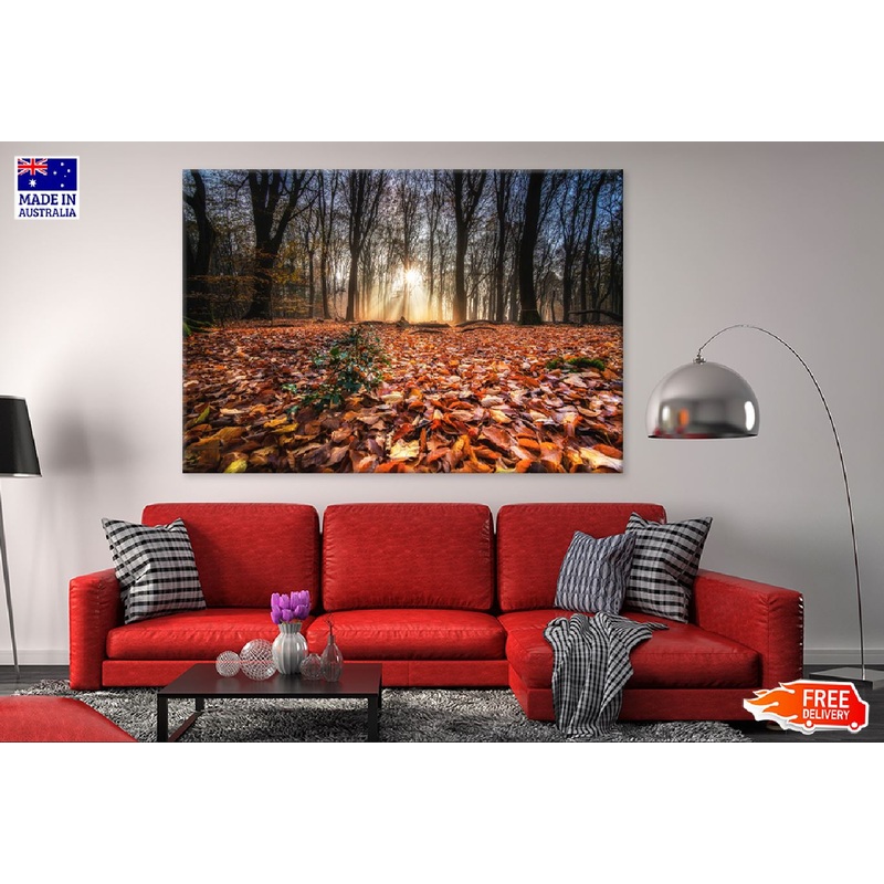 Autumn Tree Forest with Leaves Photograph Print 100% Australian Made