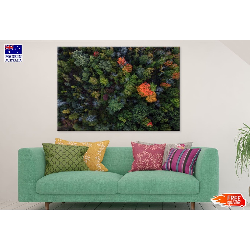 Autumn Trees Forest Aerial View Photograph Print 100% Australian Made