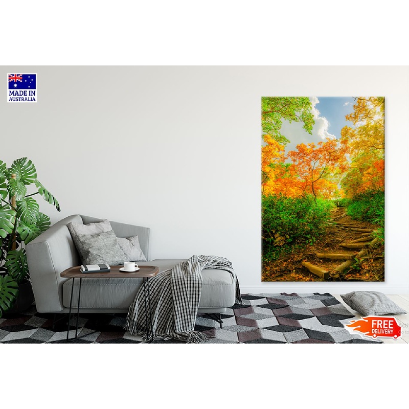 Autumn Trees Pathway Scenery View Print 100% Australian Made