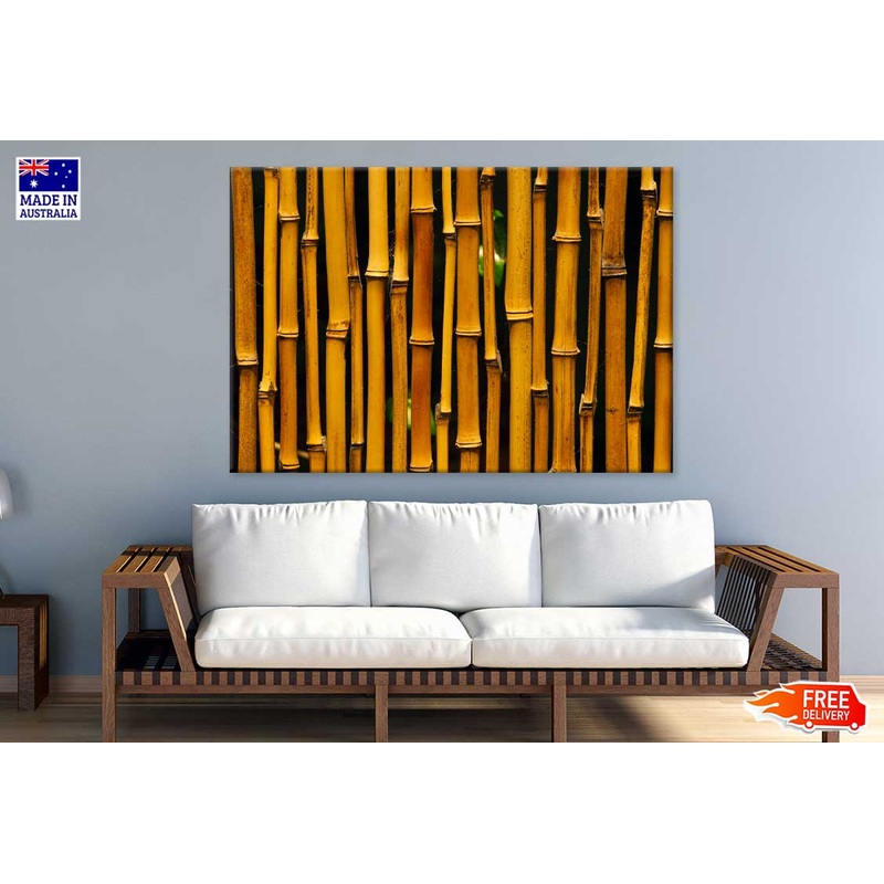 Bamboo Closeup View Photograph Print 100% Australian Made