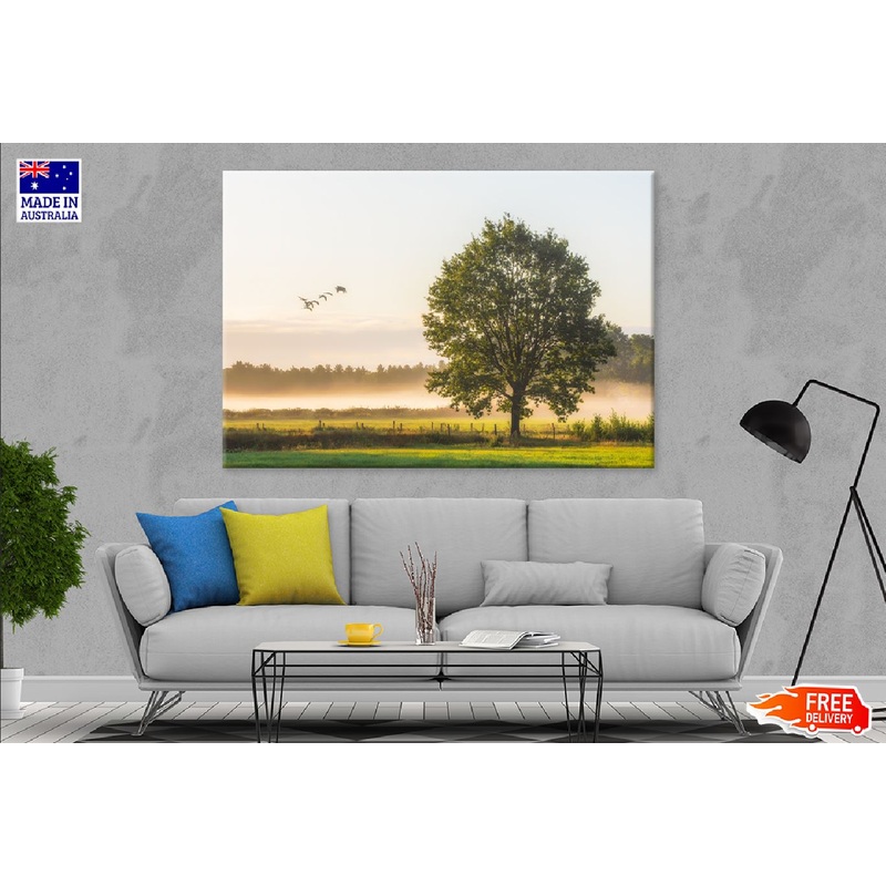Big Tree on Green Grass Field View Photograph Print 100% Australian Made