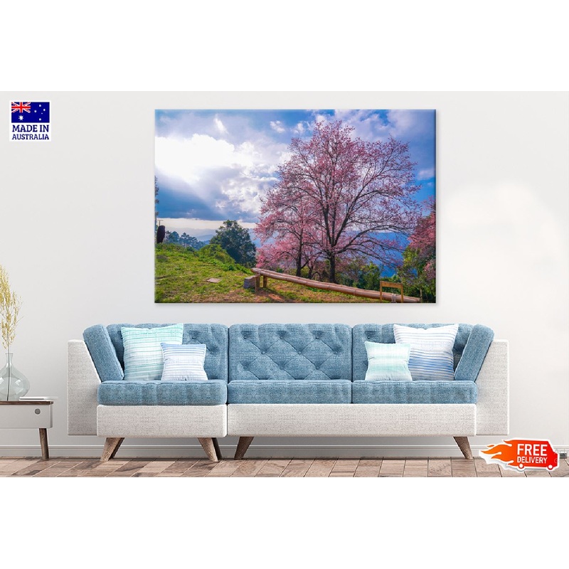 Cherry Blossom Tree on Hill View Photograph Print 100% Australian Made
