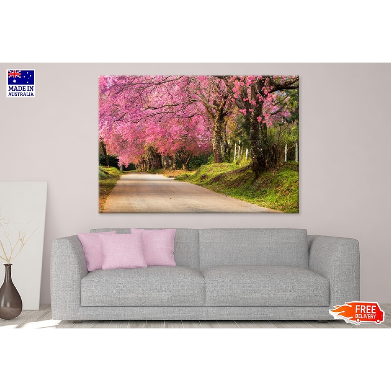 Cherry Blossom Tree on Road View Photograph Print 100% Australian Made