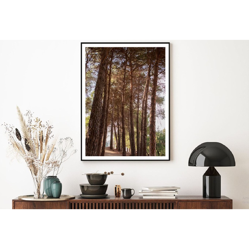 Tall Trees Forest View Photograph Home Decor Premium Quality Poster Print Choose Your Sizes