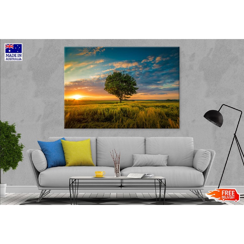 Tree Covered Grass Field Sunset Photograph Print 100% Australian Made