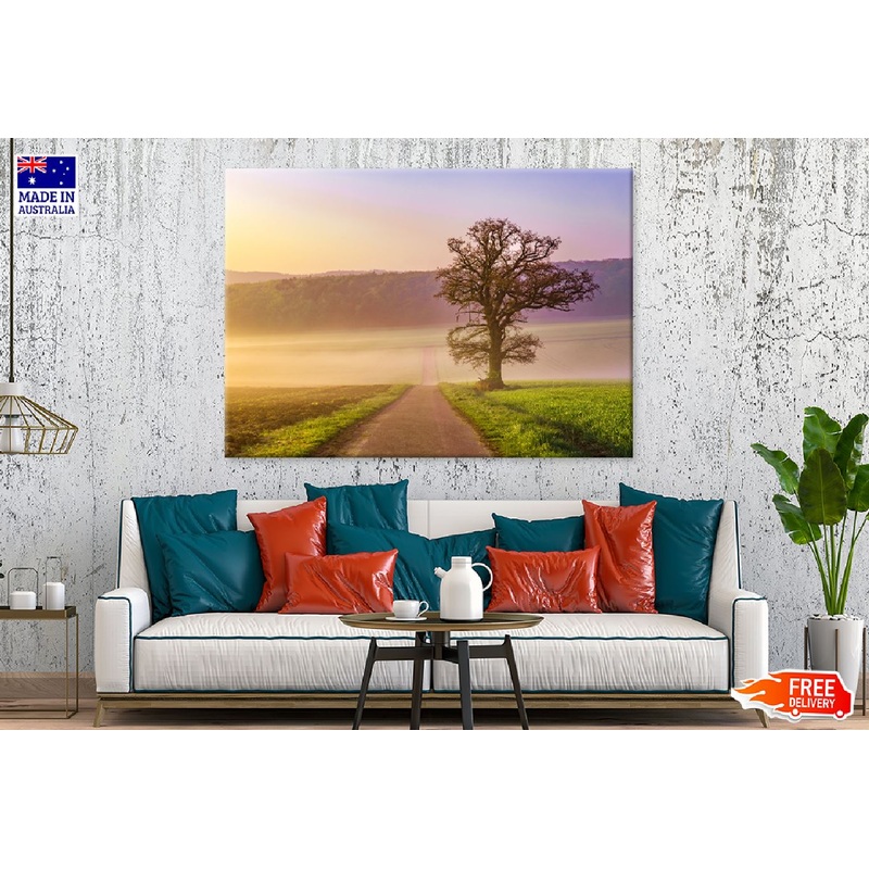 Tree in Misty Summer View Photograph Germany Print 100% Australian Made
