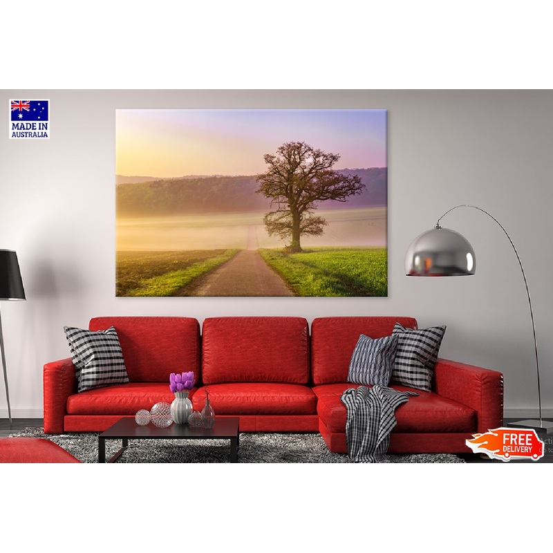 Tree on Green Grass Field Road Photograph Print 100% Australian Made