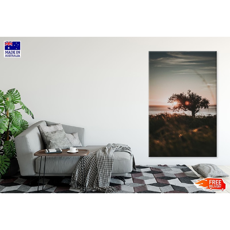 Tree Shore During Sunset Scenery View Photograph Print 100% Australian Made