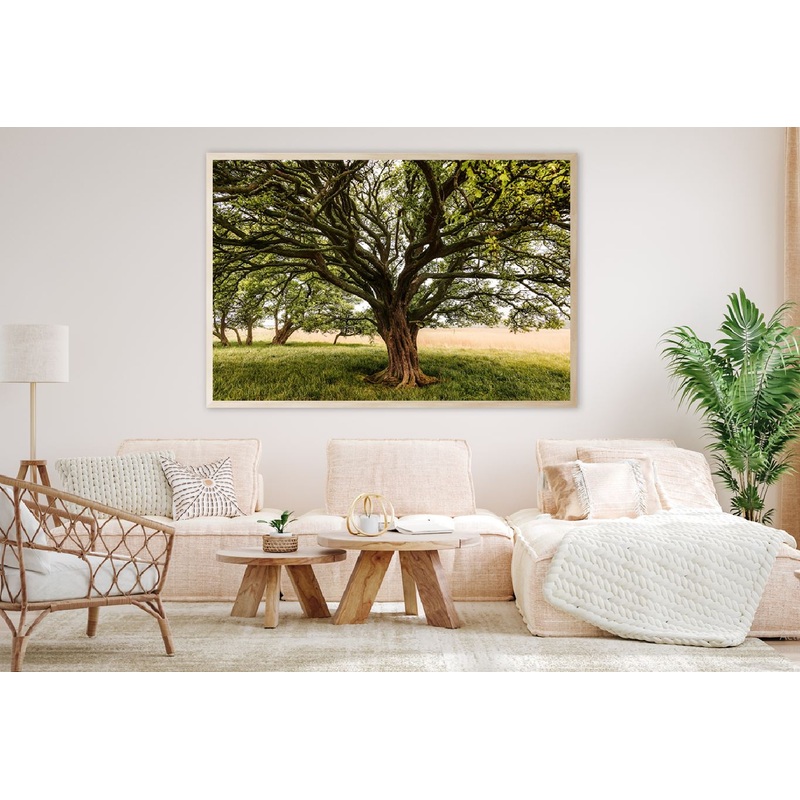 Tree with Huge Trunk & Branches View Photograph Home Decor Premium Quality Poster Print Choose Your Sizes