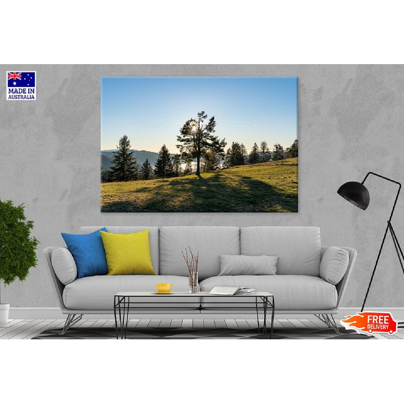 Trees on Hill Sunshine Scenery Photograph Print 100% Australian Made