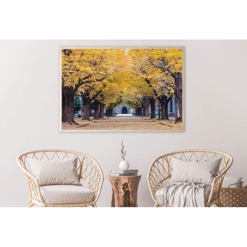University of Tokyo Autumn Trees Photograph Home Decor Premium Quality Poster Print Choose Your Sizes