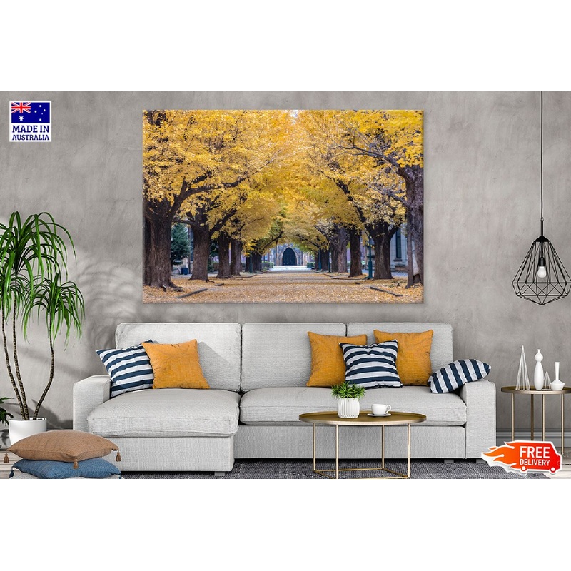 University of Tokyo Autumn Trees Photograph Print 100% Australian Made