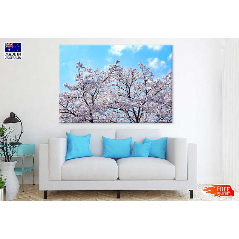 White Sakura Tree & Blue Sky View Photograph Print 100% Australian Made