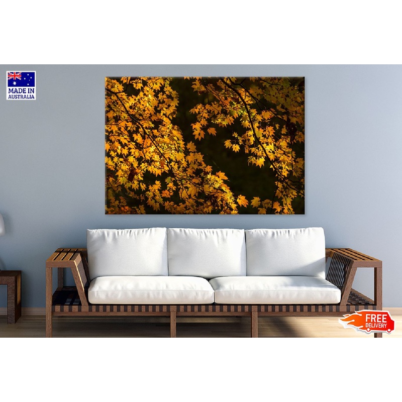 Yellow Autumn Tree Branch View Photograph Print 100% Australian Made