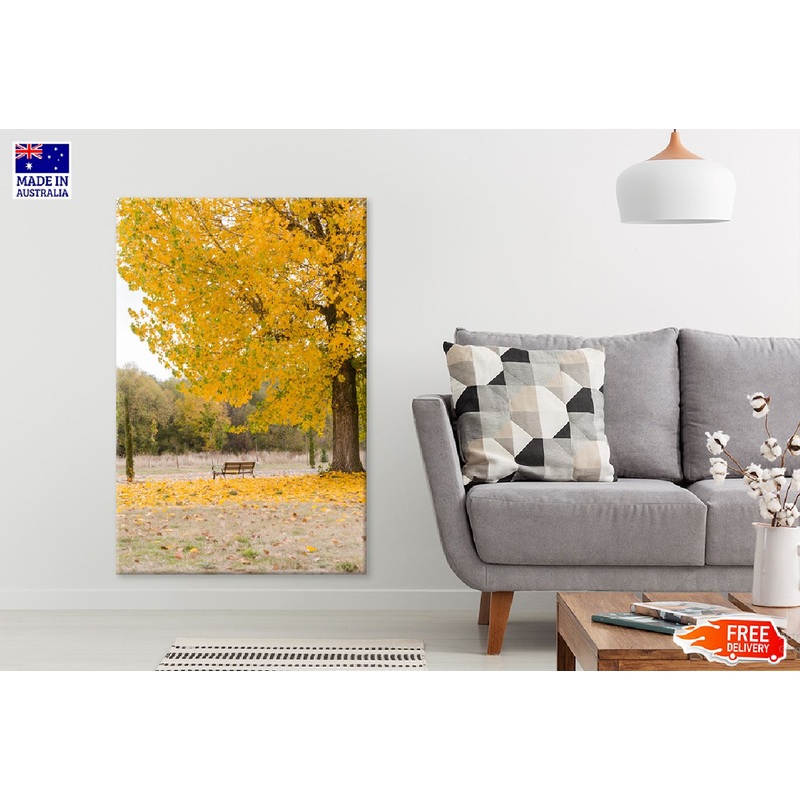 Yellow Autumn Tree on Garden View Photograph Print 100% Australian Made