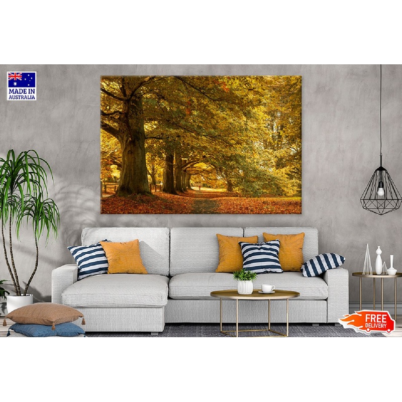 Yellow Autumn Trees Park Scenery View Photograph Print 100% Australian Made