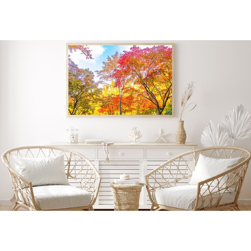 Yellow Orange Autumn Trees View Photograph Home Decor Premium Quality Poster Print Choose Your Sizes
