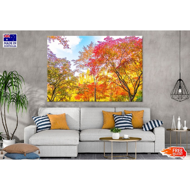 Yellow Orange Autumn Trees View Photograph Print 100% Australian Made
