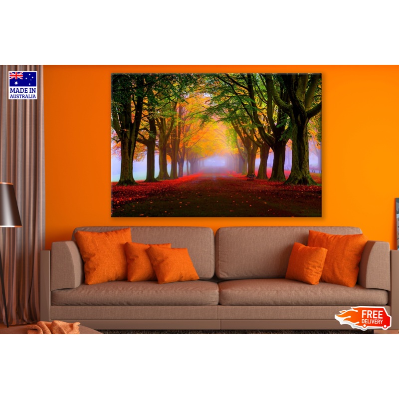 Autumn Flower Road with Trees Photograph Print 100% Australian Made
