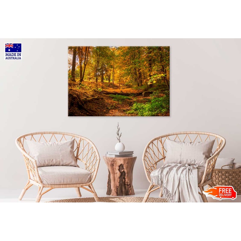 Autumn Forest Trees & Lake Scenery View Photograph Print 100% Australian Made