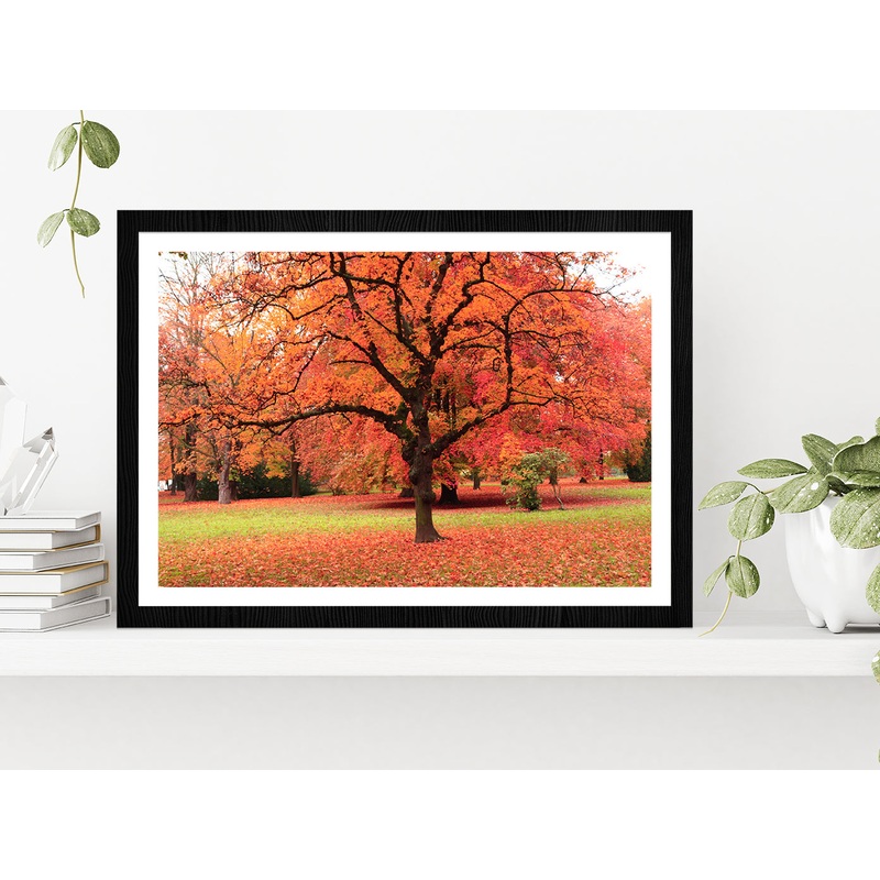 Autumn Tree In The Park Glass Framed Wall Art, Ready to Hang Quality Print