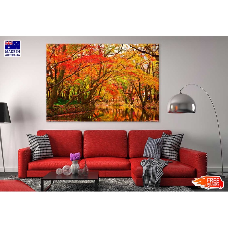 Autumn Trees Covered River View Photograph Print 100% Australian Made