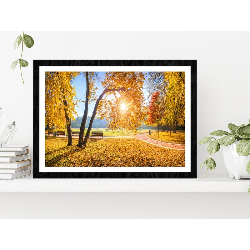 Autumn Trees In Tsaritsyno Park Glass Framed Wall Art, Ready to Hang Quality Print