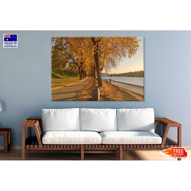 Autumn Trees Park near Lake Scenery Photograph Print 100% Australian Made