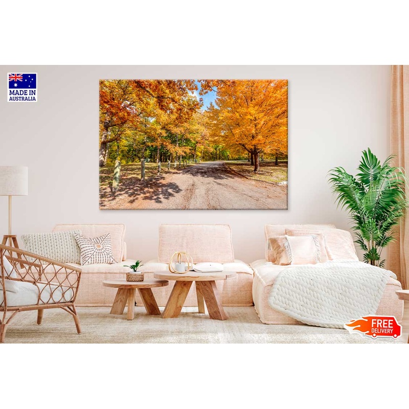 Autumn Trees & Path View Photograph Print 100% Australian Made