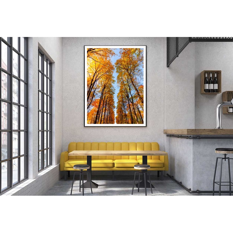 Autumn Trees Photograph in Nami Island Korea Home Decor Premium Quality Poster Print Choose Your Sizes