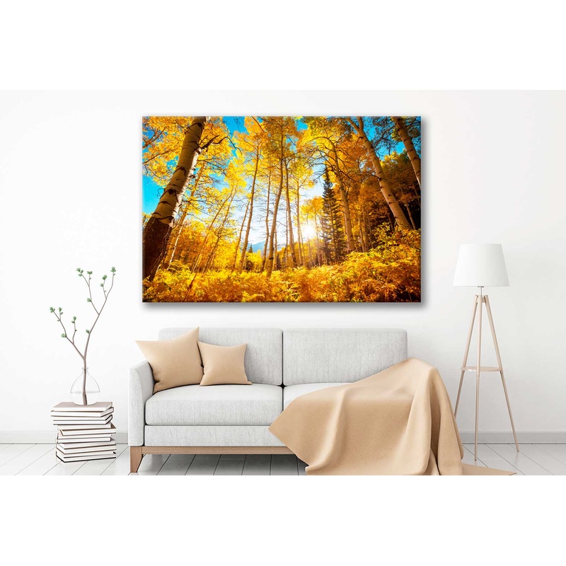 Bella Home Forest in Autumn Season Scenery Print Canvas Ready to hang