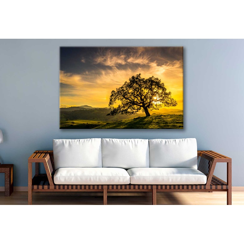 Bella Home Sunset Through an Oak Tree View Print Canvas Ready to hang