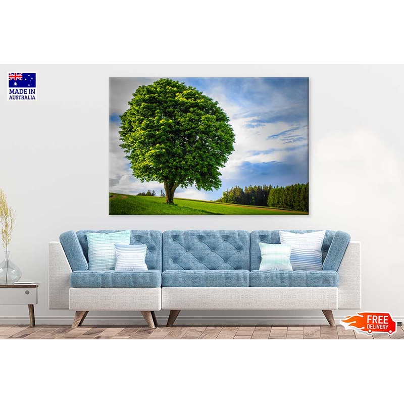 Big Green Tree on Grass Hill View Photograph Print 100% Australian Made