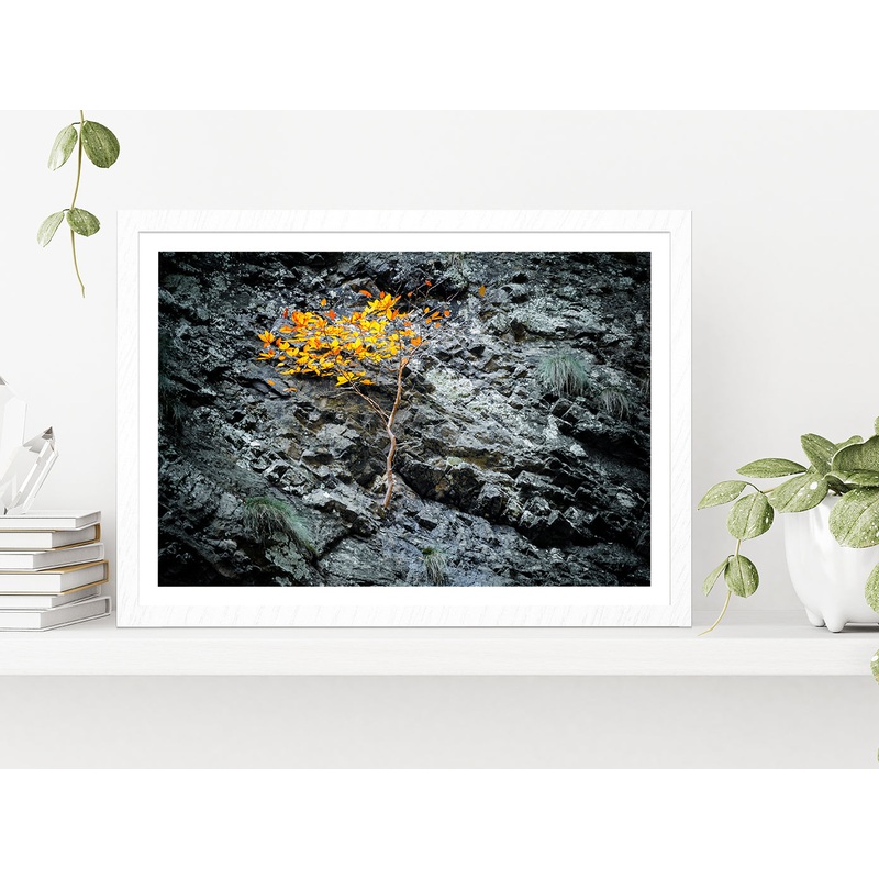 Tree On A Stone Slope Of A Cliff Glass Framed Wall Art, Ready to Hang Quality Print
