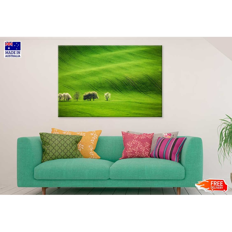 Trees on Green Grass Field Scenery View Photograph Print 100% Australian Made