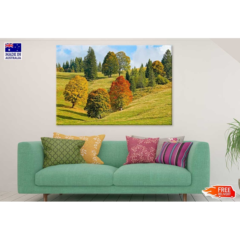 Trees on Green Mountain Hill View Photograph Print 100% Australian Made