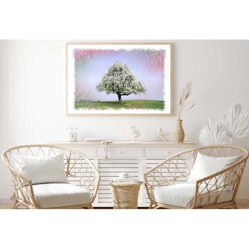 White Cherry Blossom Tree View Photograph Home Decor Premium Quality Poster Print Choose Your Sizes
