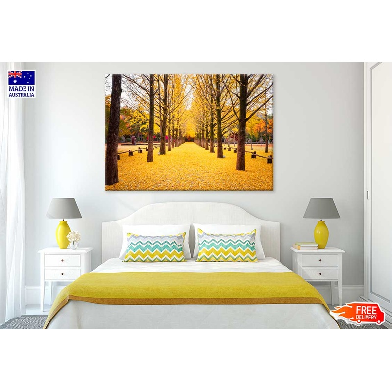 Yellow Autumn Trees & Garden Scenery Photograph Print 100% Australian Made
