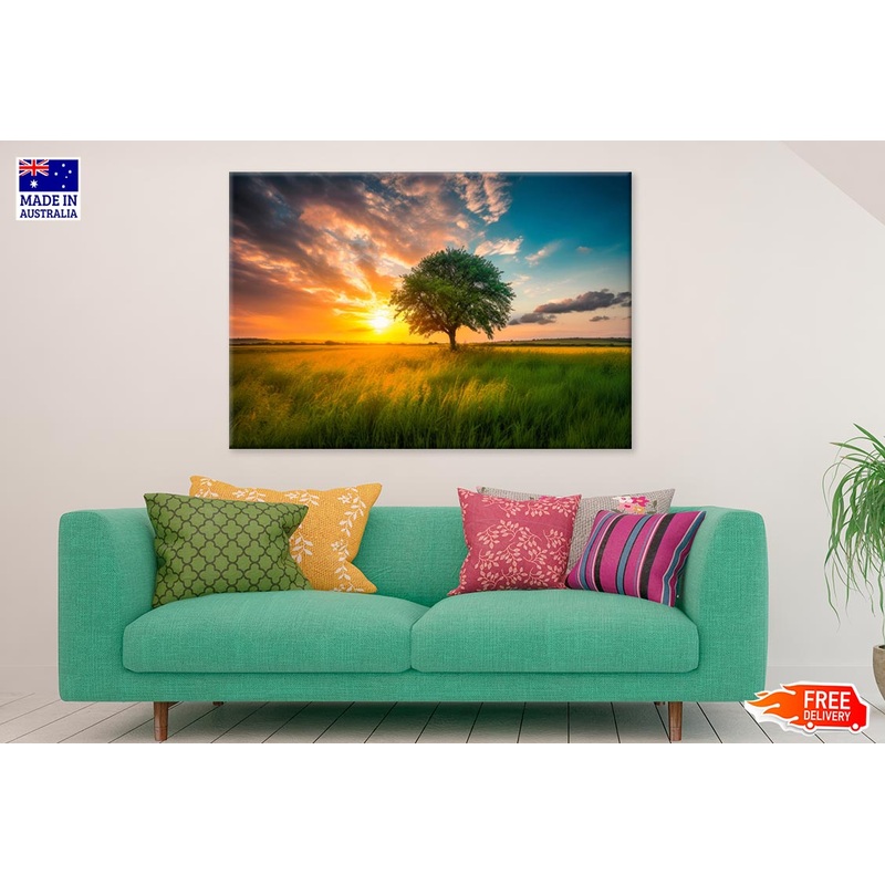 A Tree In A Field With The Sun Print 100% Australian Made